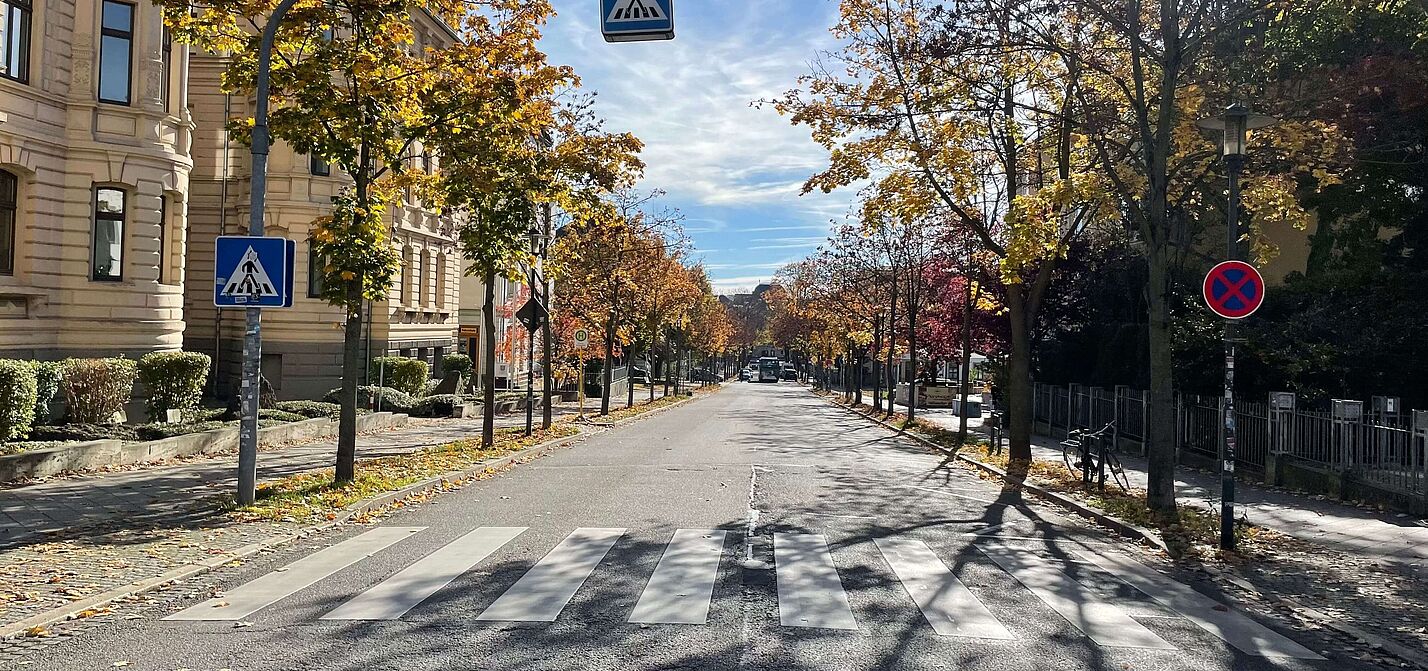 Herbstliche Straßenszene mit Zebrastreifen